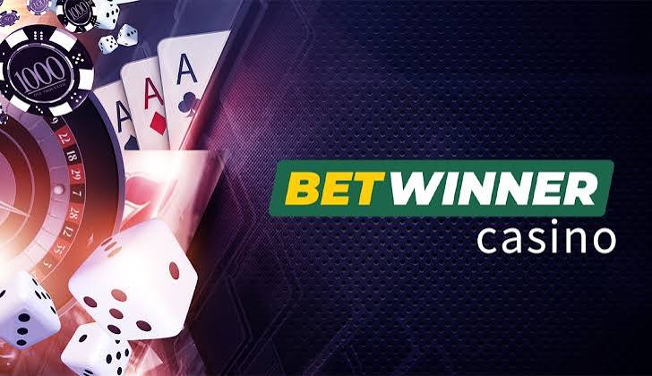 Explore the BetWinner Platform Your Go-To Destination for Sports Betting
