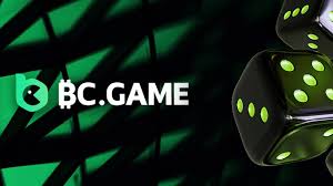 How to Successfully Register on BC.Game A Comprehensive Guide -685763323