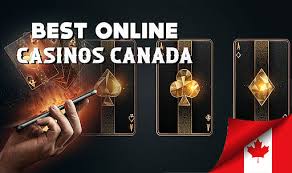 Discover New Canadian Online Casinos Trends and Features