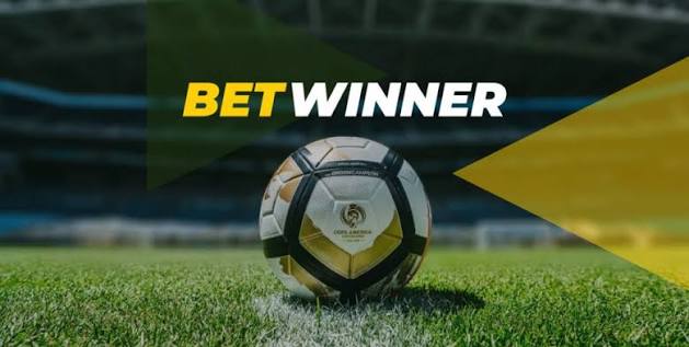 Discover the BetWinner Platform A Comprehensive Guide