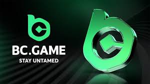 Exploring the BC.Game Mirror Mobile App A Gateway to a New Gaming Experience